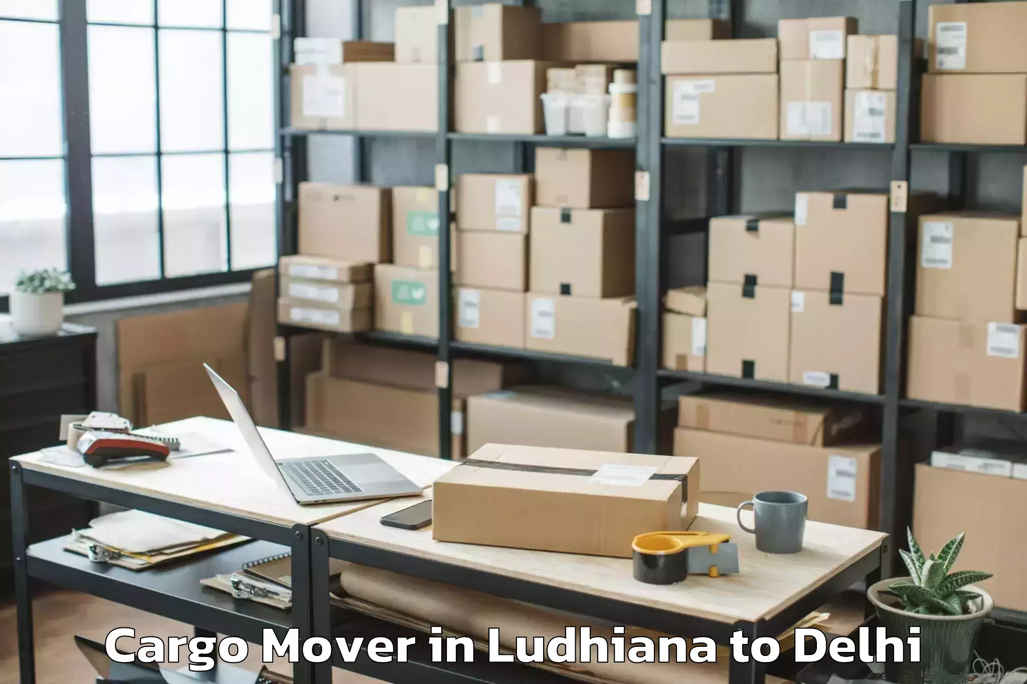 Professional Ludhiana to Unity One Mall Rohini Cargo Mover